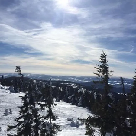 Schweizer Haeusl Lejlighed