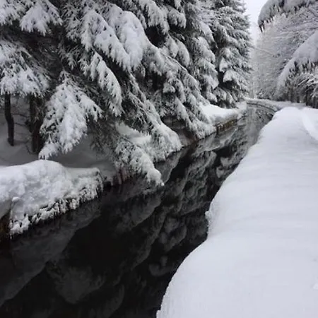 Lejlighed Schweizer Haeusl