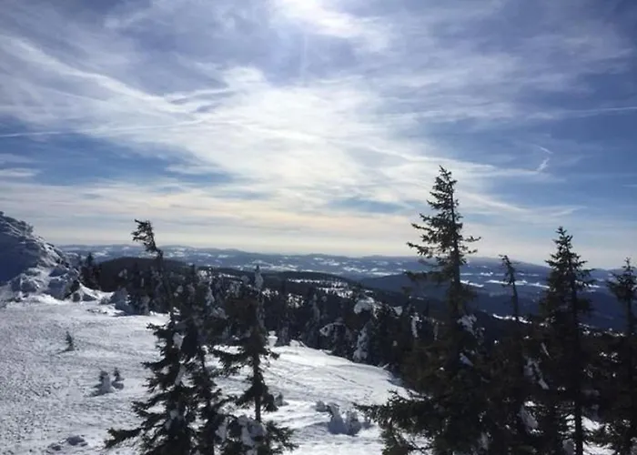 Schweizer Haeusl Lejlighed