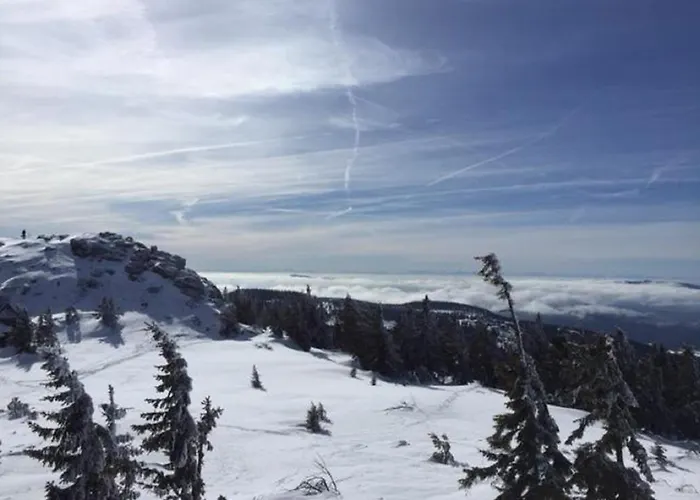 Lejlighed Schweizer Haeusl