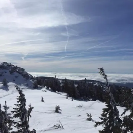 Apartman Schweizer Haeusl